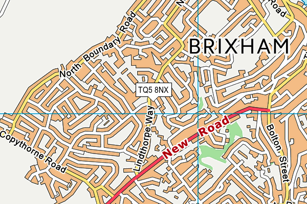 TQ5 8NX map - OS VectorMap District (Ordnance Survey)