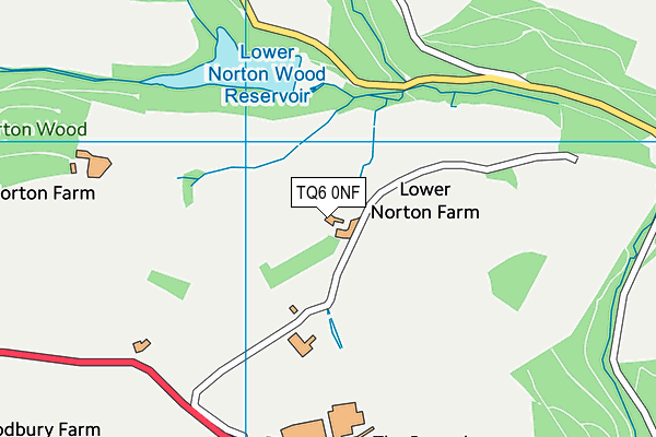 TQ6 0NF map - OS VectorMap District (Ordnance Survey)
