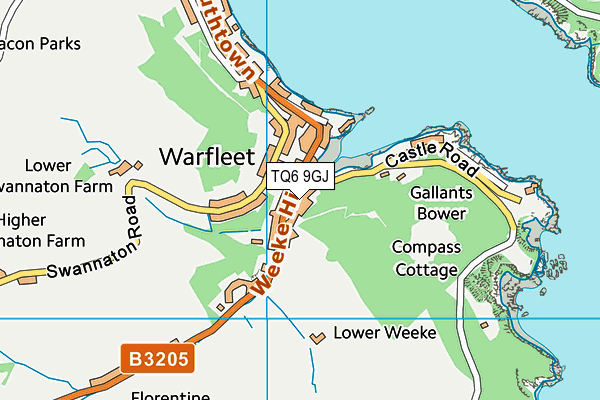 TQ6 9GJ map - OS VectorMap District (Ordnance Survey)