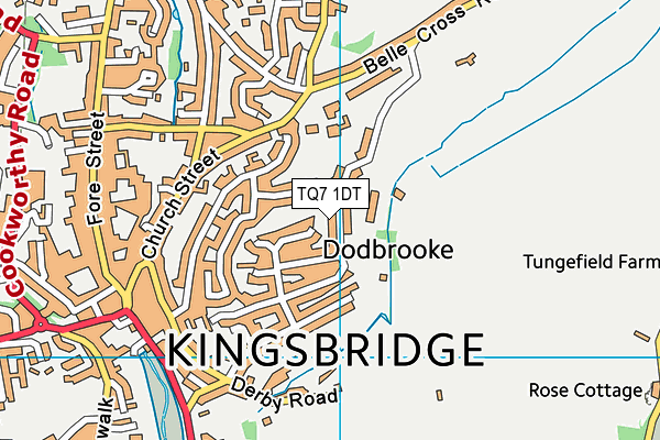 TQ7 1DT map - OS VectorMap District (Ordnance Survey)