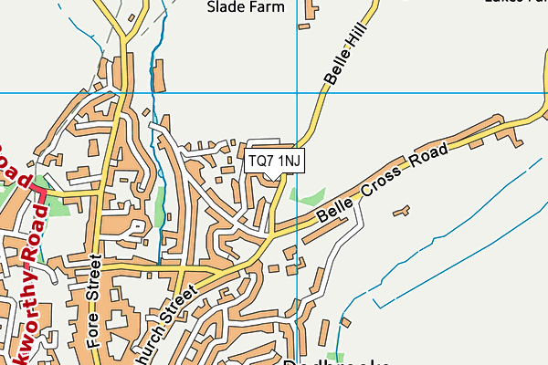 TQ7 1NJ map - OS VectorMap District (Ordnance Survey) TQ7 1NJ map - OS VectorMap District (Ordnance Survey)