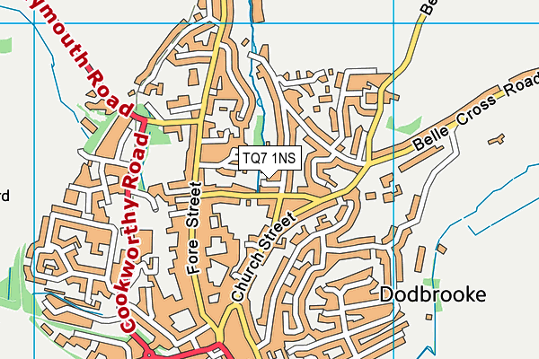 TQ7 1NS map - OS VectorMap District (Ordnance Survey) TQ7 1NS map - OS VectorMap District (Ordnance Survey)