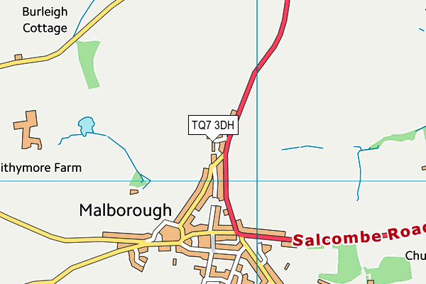 TQ7 3DH map - OS VectorMap District (Ordnance Survey) TQ7 3DH map - OS VectorMap District (Ordnance Survey)