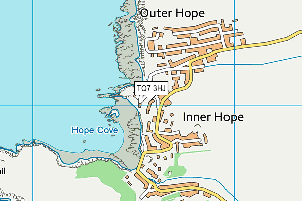 TQ7 3HJ map - OS VectorMap District (Ordnance Survey) TQ7 3HJ map - OS VectorMap District (Ordnance Survey)
