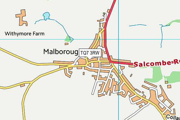 TQ7 3RW map - OS VectorMap District (Ordnance Survey) TQ7 3RW map - OS VectorMap District (Ordnance Survey)