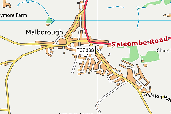 TQ7 3SG map - OS VectorMap District (Ordnance Survey)