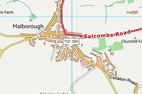 TQ7 3SH map - OS VectorMap District (Ordnance Survey)