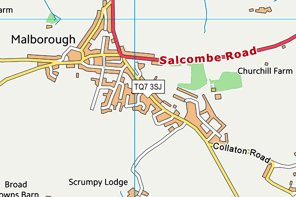 TQ7 3SJ map - OS VectorMap District (Ordnance Survey) TQ7 3SJ map - OS VectorMap District (Ordnance Survey)