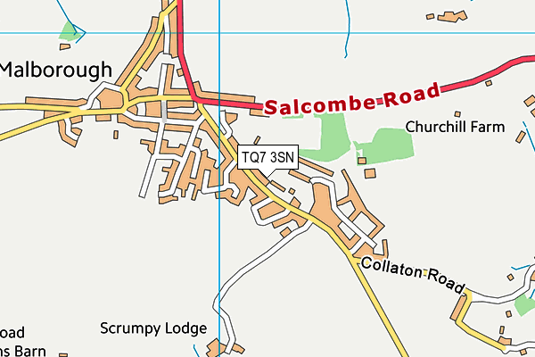 TQ7 3SN map - OS VectorMap District (Ordnance Survey) TQ7 3SN map - OS VectorMap District (Ordnance Survey)
