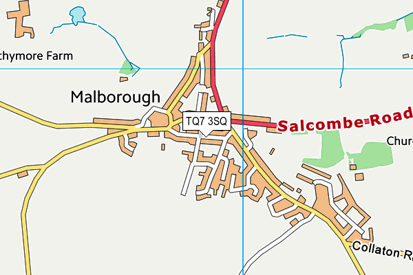TQ7 3SQ map - OS VectorMap District (Ordnance Survey) TQ7 3SQ map - OS VectorMap District (Ordnance Survey)