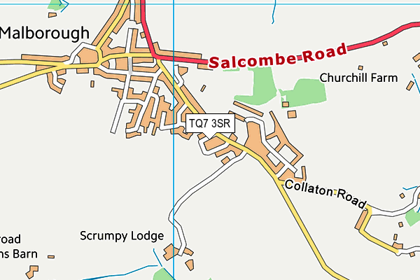 TQ7 3SR map - OS VectorMap District (Ordnance Survey)