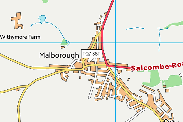TQ7 3ST map - OS VectorMap District (Ordnance Survey)