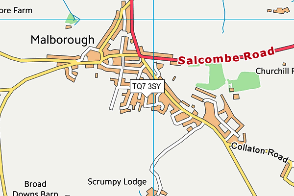 TQ7 3SY map - OS VectorMap District (Ordnance Survey) TQ7 3SY map - OS VectorMap District (Ordnance Survey)