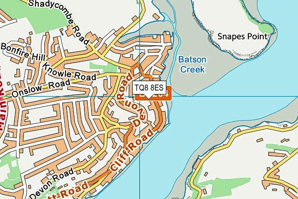 TQ8 8ES map - OS VectorMap District (Ordnance Survey) TQ8 8ES map - OS VectorMap District (Ordnance Survey)