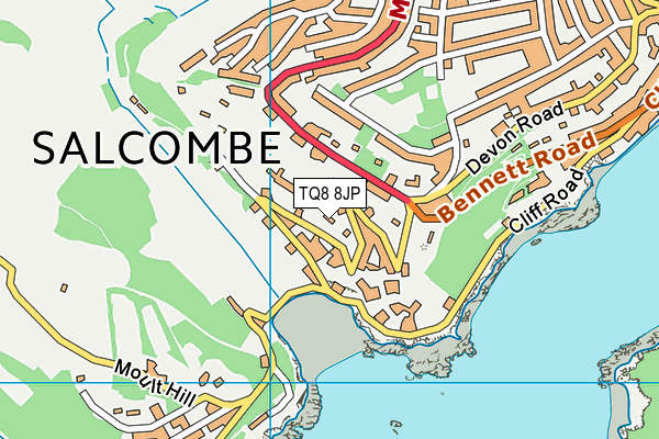 TQ8 8JP map - OS VectorMap District (Ordnance Survey) TQ8 8JP map - OS VectorMap District (Ordnance Survey)