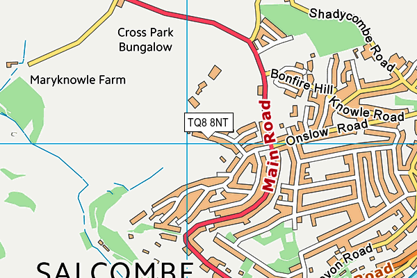 TQ8 8NT map - OS VectorMap District (Ordnance Survey) TQ8 8NT map - OS VectorMap District (Ordnance Survey)