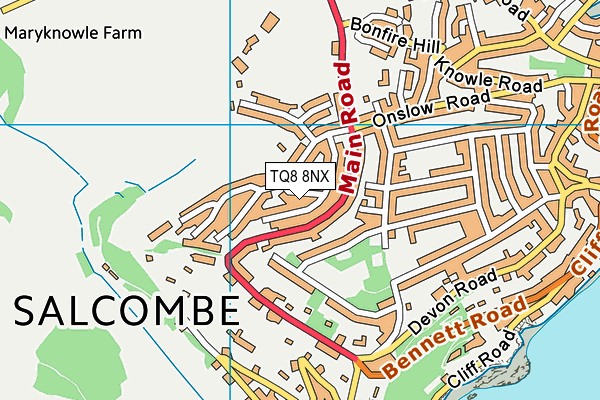 TQ8 8NX map - OS VectorMap District (Ordnance Survey) TQ8 8NX map - OS VectorMap District (Ordnance Survey)