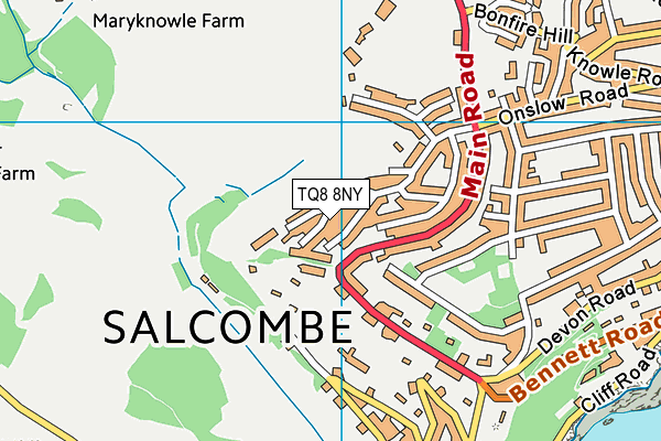 TQ8 8NY map - OS VectorMap District (Ordnance Survey) TQ8 8NY map - OS VectorMap District (Ordnance Survey)