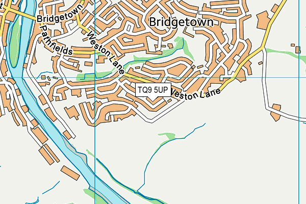 TQ9 5UP map - OS VectorMap District (Ordnance Survey) TQ9 5UP map - OS VectorMap District (Ordnance Survey)