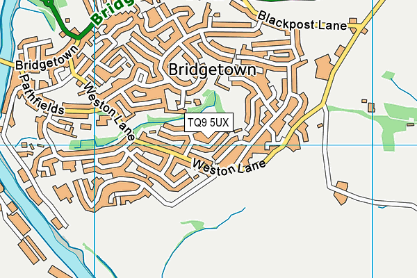TQ9 5UX map - OS VectorMap District (Ordnance Survey) TQ9 5UX map - OS VectorMap District (Ordnance Survey)