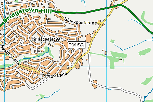 TQ9 5YA map - OS VectorMap District (Ordnance Survey) TQ9 5YA map - OS VectorMap District (Ordnance Survey)