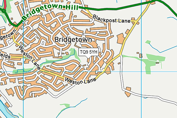 TQ9 5YH map - OS VectorMap District (Ordnance Survey) TQ9 5YH map - OS VectorMap District (Ordnance Survey)