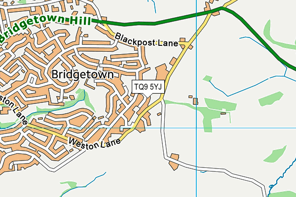 TQ9 5YJ map - OS VectorMap District (Ordnance Survey) TQ9 5YJ map - OS VectorMap District (Ordnance Survey)