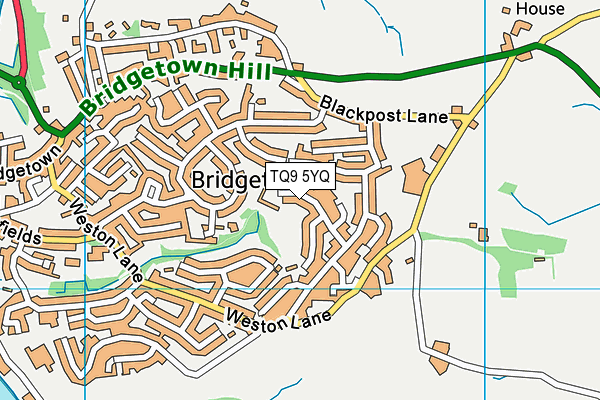TQ9 5YQ map - OS VectorMap District (Ordnance Survey) TQ9 5YQ map - OS VectorMap District (Ordnance Survey)