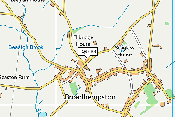 TQ9 6BS map - OS VectorMap District (Ordnance Survey) TQ9 6BS map - OS VectorMap District (Ordnance Survey)