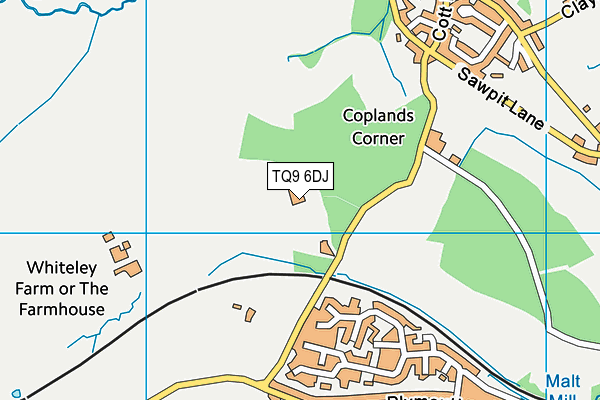 TQ9 6DJ map - OS VectorMap District (Ordnance Survey) TQ9 6DJ map - OS VectorMap District (Ordnance Survey)