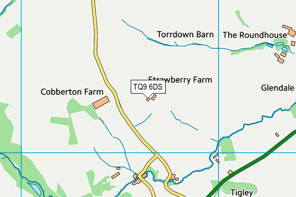 TQ9 6DS map - OS VectorMap District (Ordnance Survey) TQ9 6DS map - OS VectorMap District (Ordnance Survey)