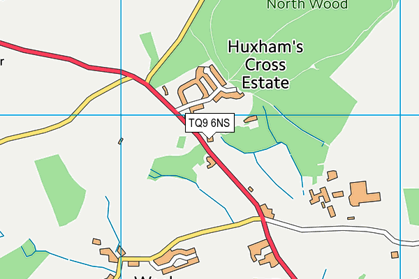 TQ9 6NS map - OS VectorMap District (Ordnance Survey) TQ9 6NS map - OS VectorMap District (Ordnance Survey)