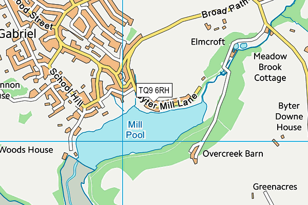TQ9 6RH map - OS VectorMap District (Ordnance Survey)