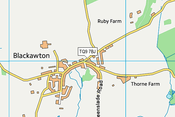 TQ9 7BJ map - OS VectorMap District (Ordnance Survey) TQ9 7BJ map - OS VectorMap District (Ordnance Survey)