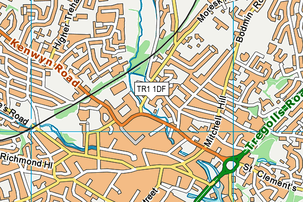 TR1 1DF map - OS VectorMap District (Ordnance Survey) TR1 1DF map - OS VectorMap District (Ordnance Survey)