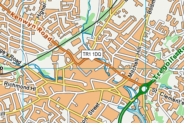 TR1 1DQ map - OS VectorMap District (Ordnance Survey) TR1 1DQ map - OS VectorMap District (Ordnance Survey)