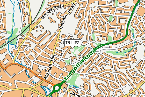 TR1 1PZ map - OS VectorMap District (Ordnance Survey) TR1 1PZ map - OS VectorMap District (Ordnance Survey)