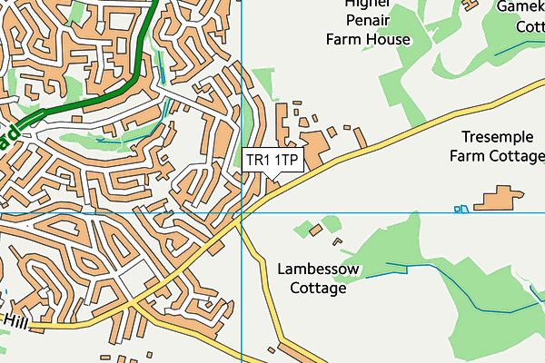 TR1 1TP map - OS VectorMap District (Ordnance Survey) TR1 1TP map - OS VectorMap District (Ordnance Survey)