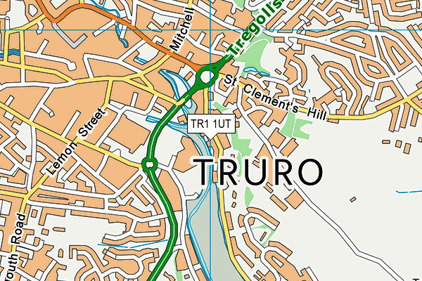 TR1 1UT map - OS VectorMap District (Ordnance Survey)