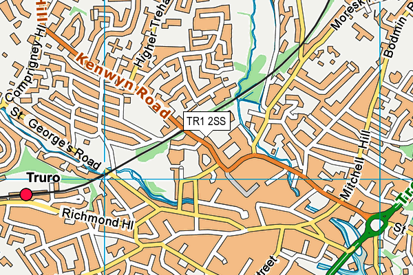 TR1 2SS map - OS VectorMap District (Ordnance Survey) TR1 2SS map - OS VectorMap District (Ordnance Survey)
