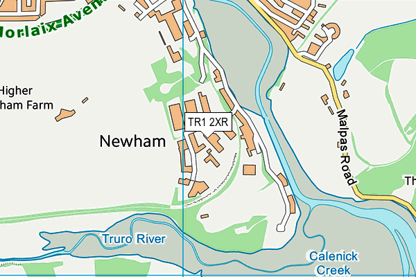 TR1 2XR map - OS VectorMap District (Ordnance Survey) TR1 2XR map - OS VectorMap District (Ordnance Survey)