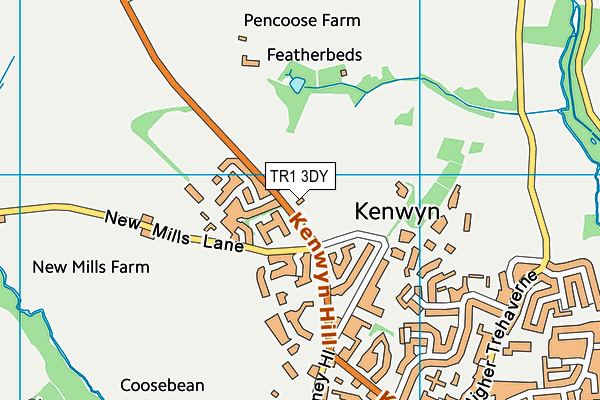 TR1 3DY map - OS VectorMap District (Ordnance Survey) TR1 3DY map - OS VectorMap District (Ordnance Survey)
