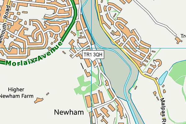 TR1 3QH map - OS VectorMap District (Ordnance Survey) TR1 3QH map - OS VectorMap District (Ordnance Survey)
