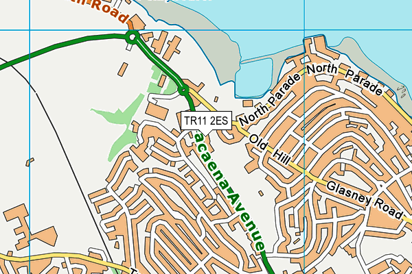 TR11 2ES map - OS VectorMap District (Ordnance Survey) TR11 2ES map - OS VectorMap District (Ordnance Survey)