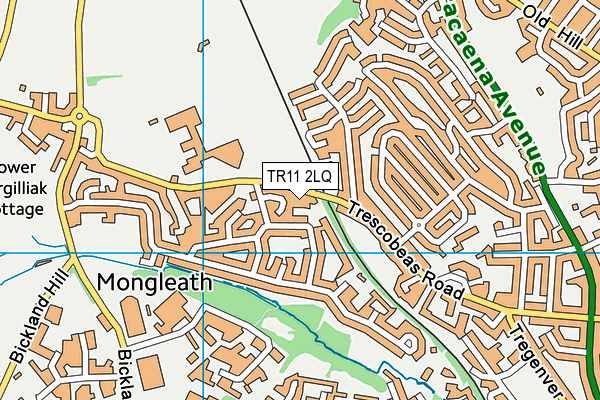 TR11 2LQ map - OS VectorMap District (Ordnance Survey) TR11 2LQ map - OS VectorMap District (Ordnance Survey)