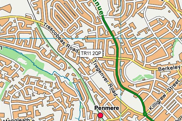 TR11 2QP map - OS VectorMap District (Ordnance Survey) TR11 2QP map - OS VectorMap District (Ordnance Survey)