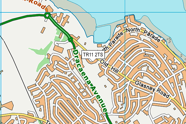 TR11 2TS map - OS VectorMap District (Ordnance Survey) TR11 2TS map - OS VectorMap District (Ordnance Survey)
