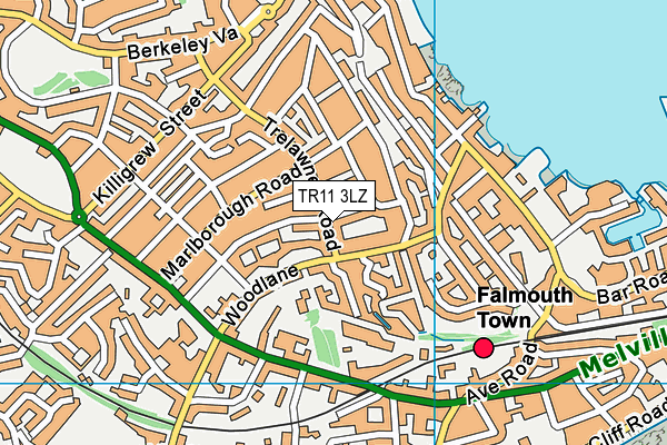 TR11 3LZ map - OS VectorMap District (Ordnance Survey) TR11 3LZ map - OS VectorMap District (Ordnance Survey)