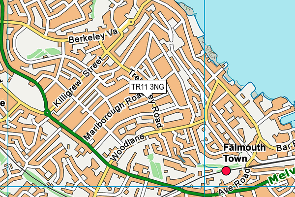TR11 3NG map - OS VectorMap District (Ordnance Survey) TR11 3NG map - OS VectorMap District (Ordnance Survey)