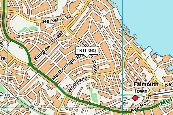TR11 3NQ map - OS VectorMap District (Ordnance Survey) TR11 3NQ map - OS VectorMap District (Ordnance Survey)